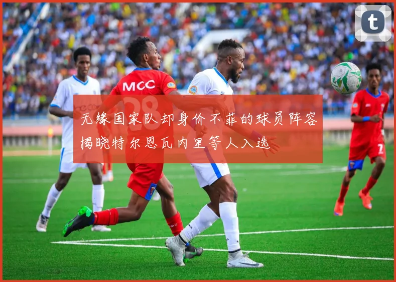 无缘国家队却身价不菲的球员阵容揭晓特尔恩瓦内里等人入选