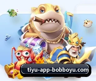 BOB体育的故事